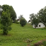 In Javornik Near Giant Mountains