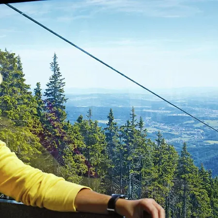 In Javornik Near Giant Mountains