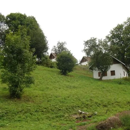 In Javornik Near Giant Mountains