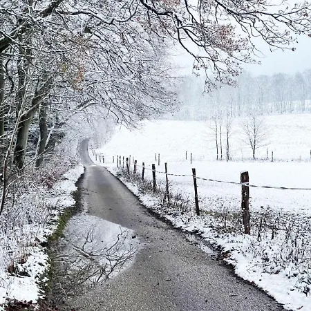 In Javornik Near Giant Mountains Nyaraló