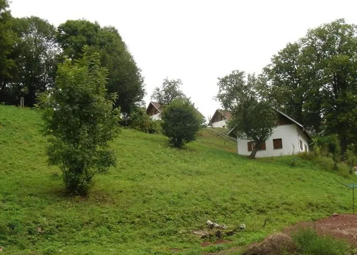 In Javornik Near Giant Mountains